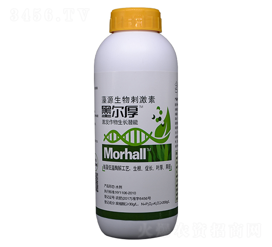 ī���񣨺����~��ʣ�-�꾧��