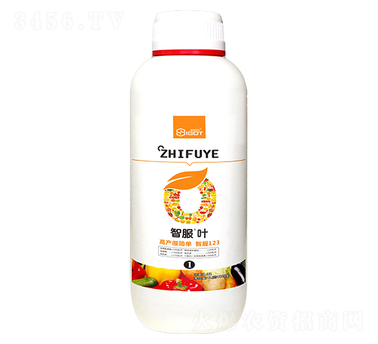 1L�Ƿ��~-ِ����