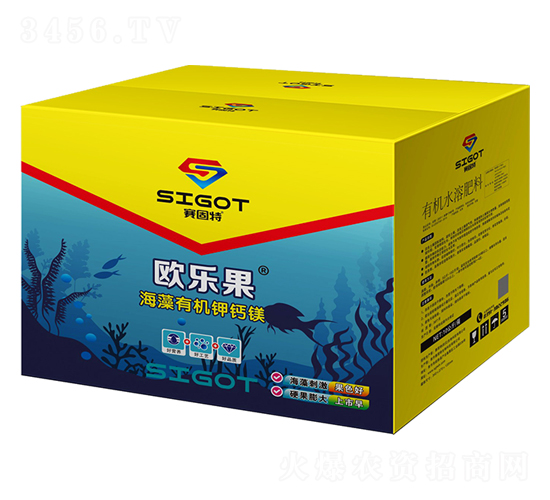 �����ЙC��}�V-�W����-ِ����