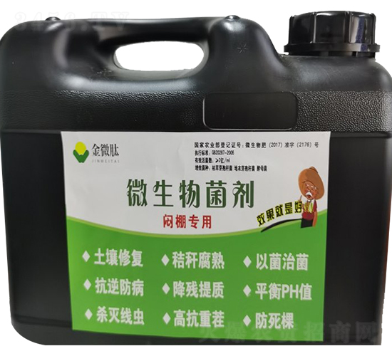 �����΢�������-��΢��