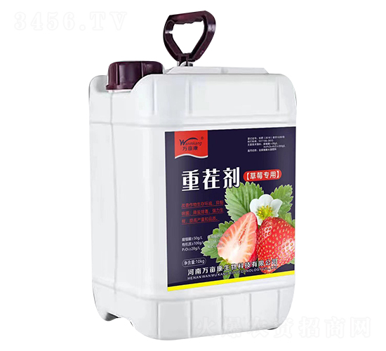 ��ݮ����-�ز焩-�f(w��n)����