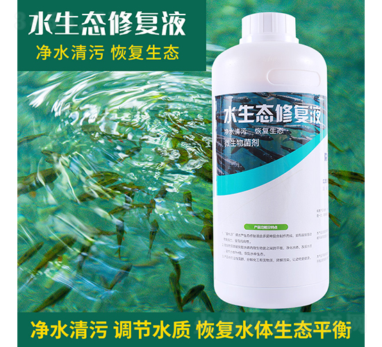 水生態(tài)修復(fù)液-潤垚