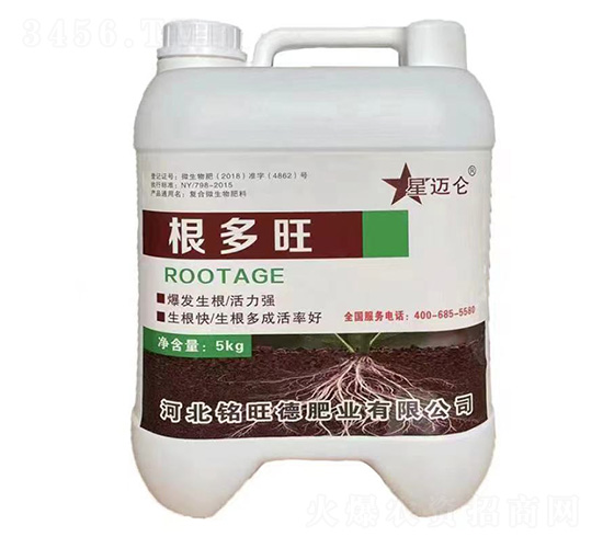 ������-���~��-����·ʘI(y��)