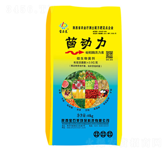 菌動力蚯蚓酶活力素-寶石萊