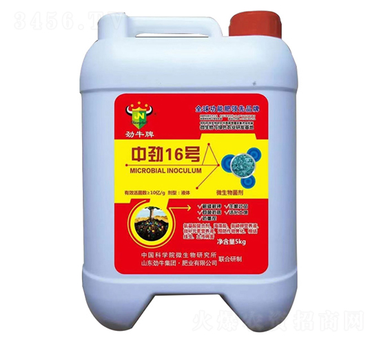 中勁16號微生物菌劑-勁牛