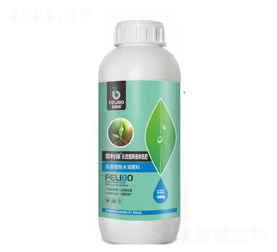 �L(zh��ng)Ч���Һ�w����-������