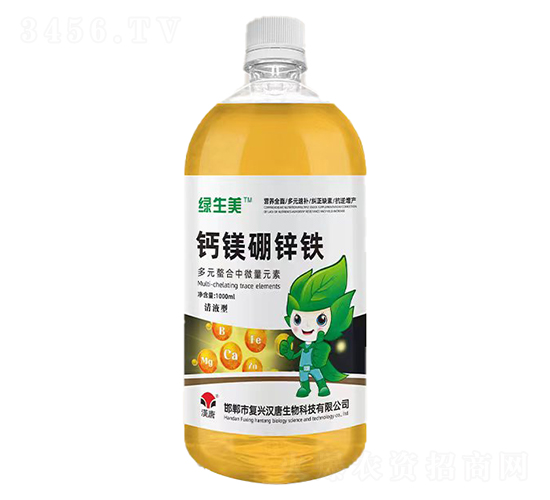 �}�V���\�F-�G����-�h��