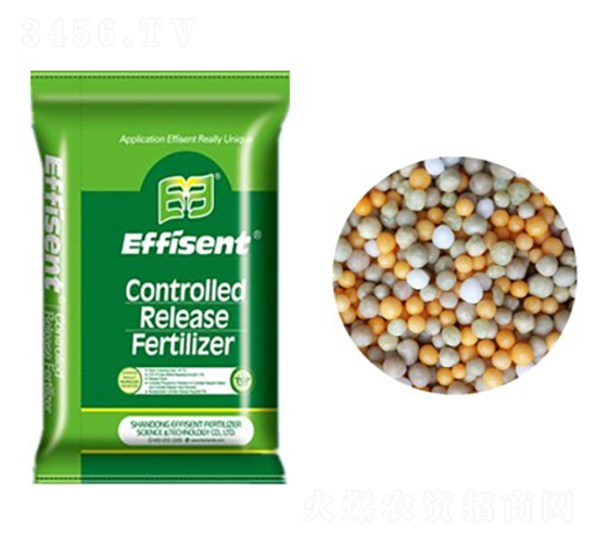 全控控釋肥-菲申特