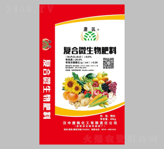 ��(f��)��΢�������-�Ɨ�����