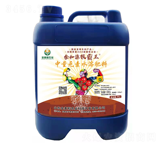 金和源根霸王-金麥稻