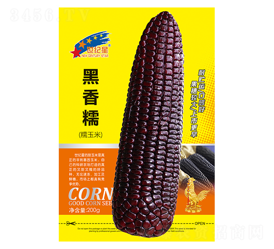 ����Ŵ��Ŵ���ף�-���׷N��-�Aһ�N�I(y��)