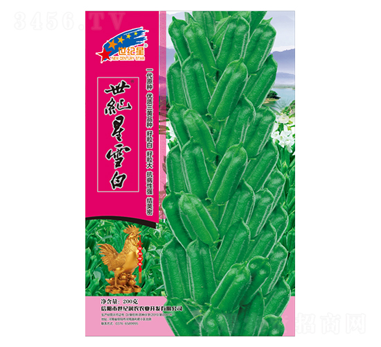 世紀(jì)星雪白-芝麻種子-華一種業(yè)