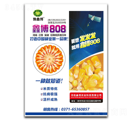 �β�808-���׷N��-ԥ�β�