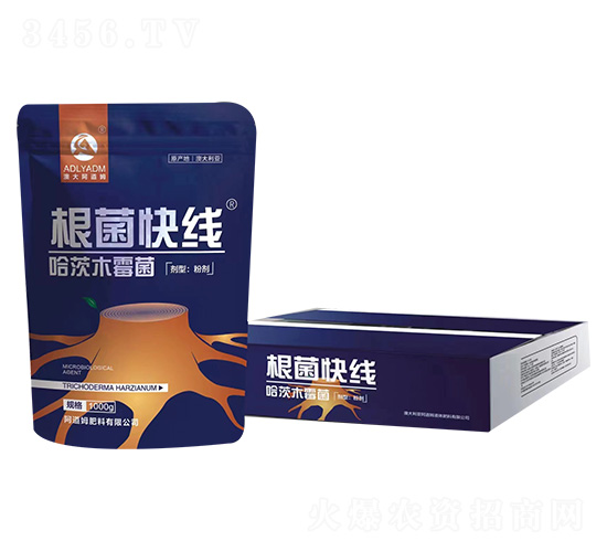 ����ľù��-�����쾀-����ķ