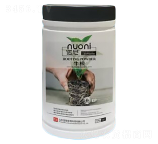 ţ��-�Z��-�~�蝙