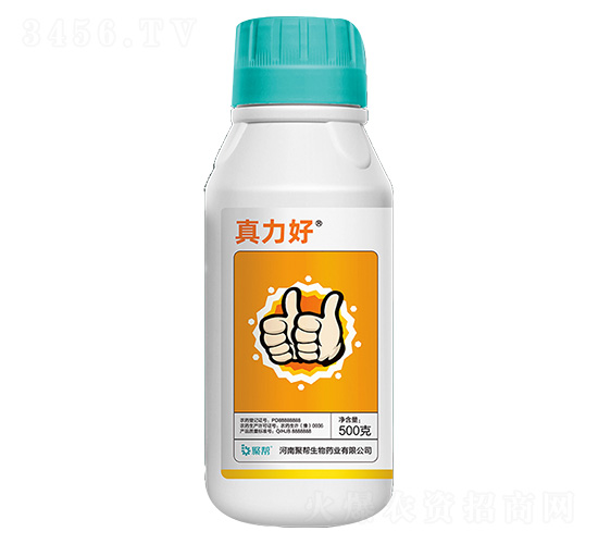 3.6%�S������ù�����Һ��-������-�ێ�