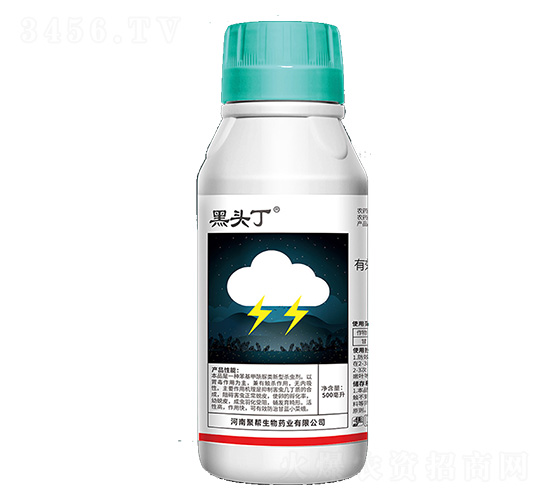 5%���������-���^��-�ێ�