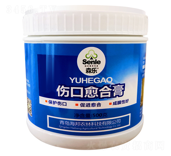 �������ϸ�-ɭ��-�����r��