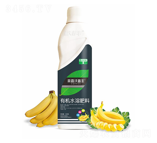 香蕉需配有機水溶肥料-英露沃普豐