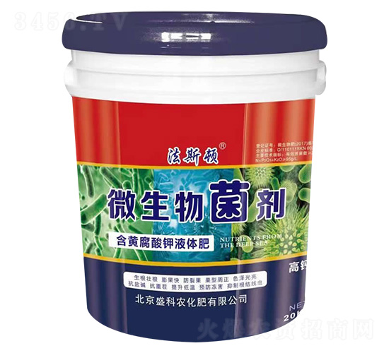 ΢�������-ʢ���r(n��ng)