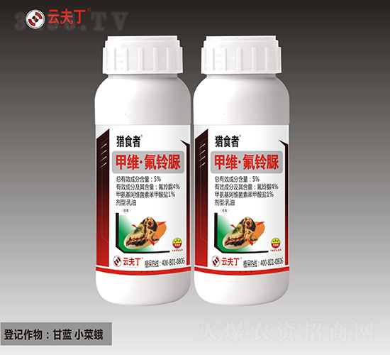 5%�׾S�������-�Cʳ��-�Ʒ�