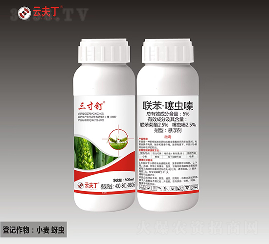 5%(li��n)�������x(ch��ng)�-�����-�Ʒ�