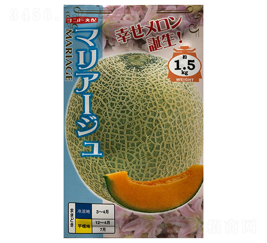 �����I-��ϷN��-ɽ��ʢ�N��