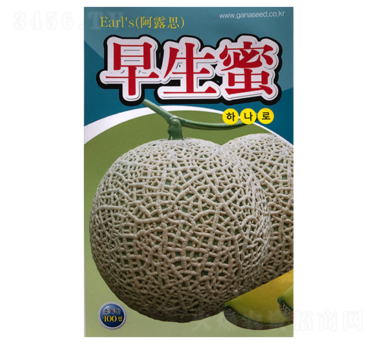 早生蜜-甜瓜種子-山田盛種苗