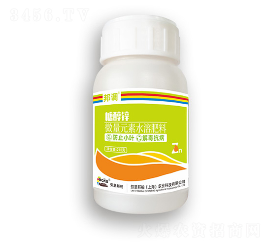 �Ǵ��\-���{-�ڶ����