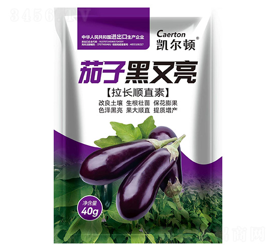 茄子黑又亮【拉長順直素】-凱爾頓-綠邦農(nóng)化