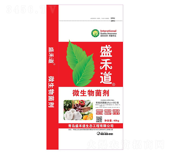 ΢�������-ʢ�̵�