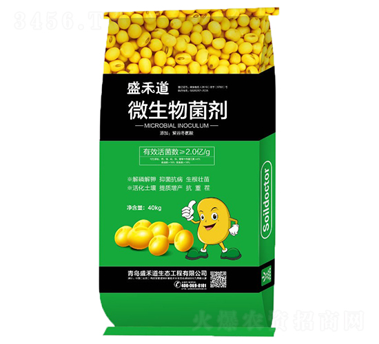 2�|���΢�������-ʢ�̵�