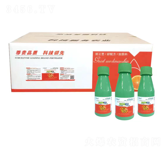 ��ϵ��ס�⁷�-һ֦��