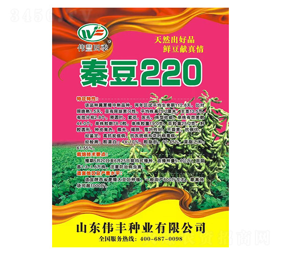 大豆種子-秦豆220-偉豐種業(yè)