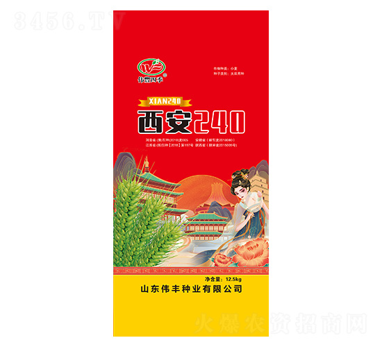 С���N��-����240-���S�N�I(y��)