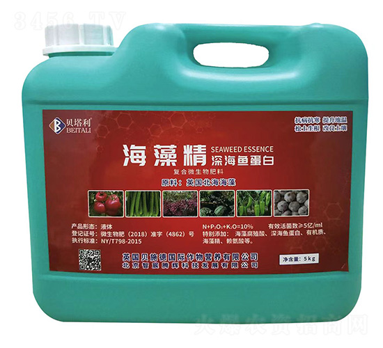 ���徫��~����-ؐ����-����v�x