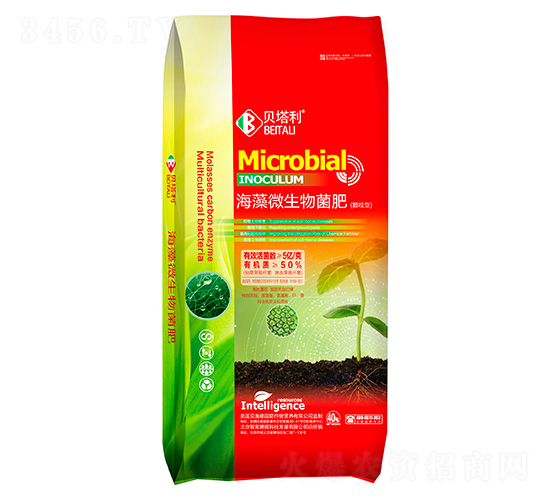 ����΢�������(�w����)-ؐ����-����v�x