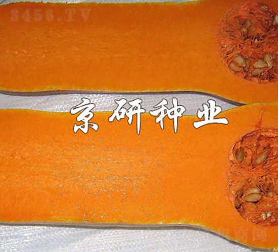 �S��2̖�Ϲ�-�ϹϷN��-���зN�I(y��)