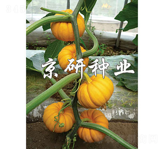 ������-�ϹϷN��-���зN�I(y��)