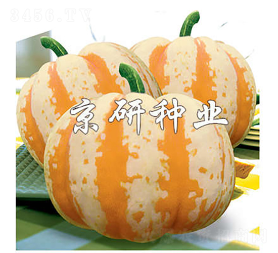 �ʹ�-�ϹϷN��-���зN�I(y��)