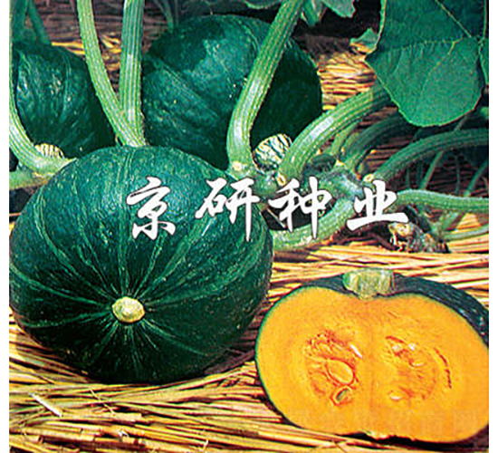 �������G��-�ϹϷN��-���зN�I(y��)