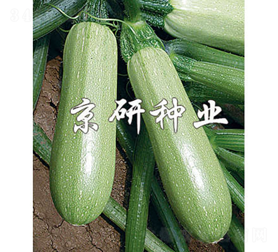 ����3̖-�����J�N��-���зN�I(y��)