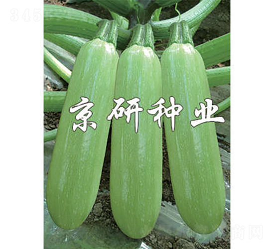 ����4̖-�����J�N��-���зN�I(y��)