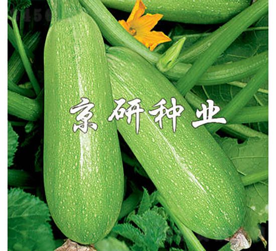 ����5̖-�����J�N��-���зN�I(y��)