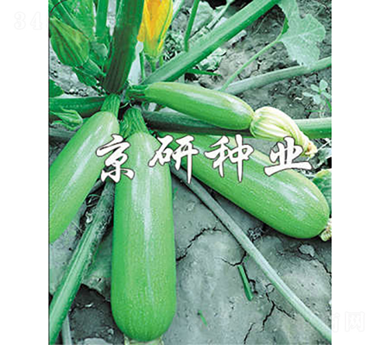 ����6̖-�����J�N��-���зN�I(y��)