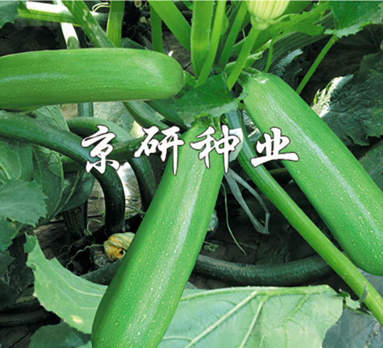 ����10̖-�����J�N��-���зN�I(y��)