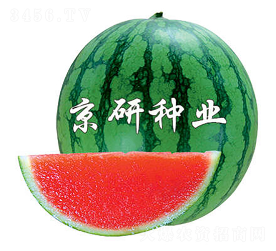 ����-���ϷN��-���зN�I(y��)