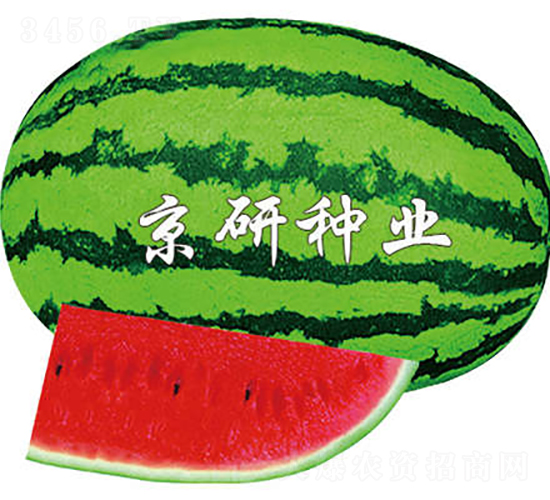 ����6̖-���ϷN��-���зN�I(y��)