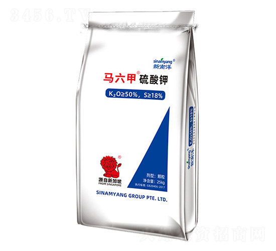 �R���������-Сħ��