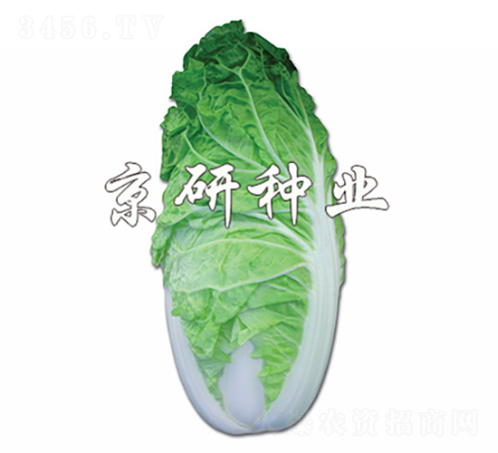 ����5̖-�ײ˷N��-���зN�I(y��)